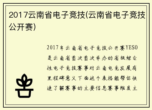 2017云南省电子竞技(云南省电子竞技公开赛)