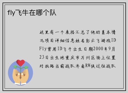 fly飞牛在哪个队